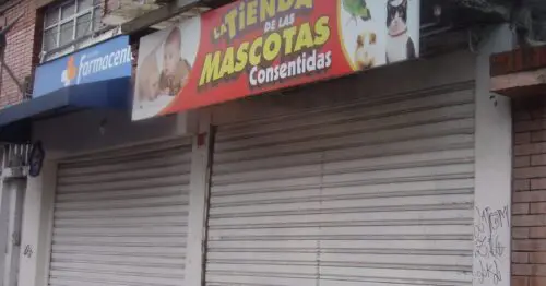 LA TIENDA DE LAS MASCOTAS CONSENTIDAS LA TIENDA DE LAS MASCOTAS CONSENTIDAS